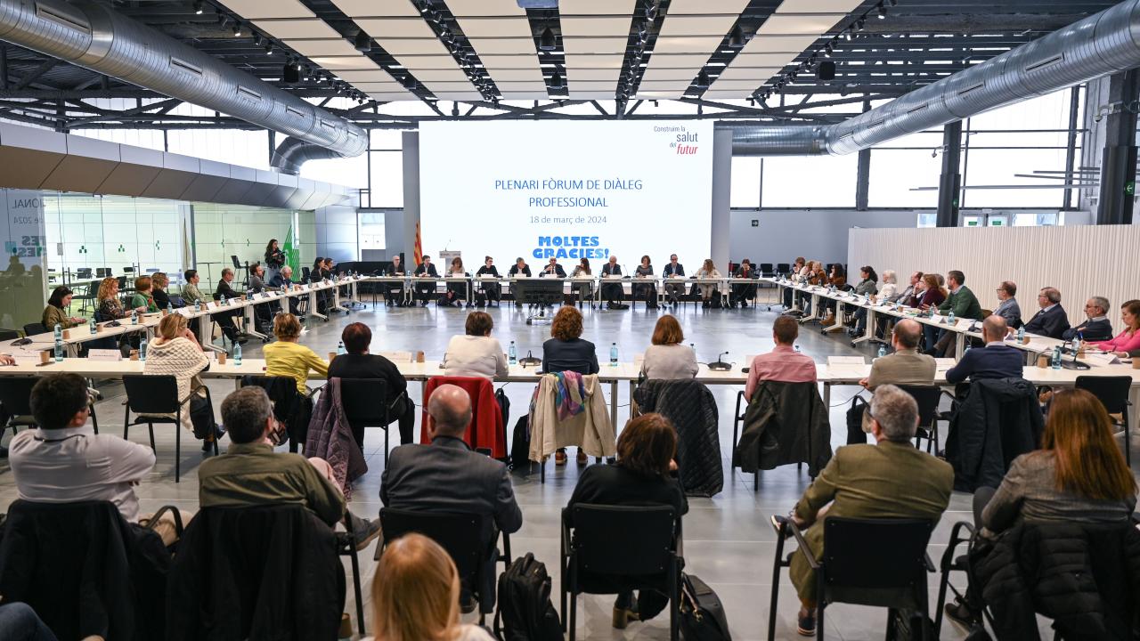 Plenari del Fòrum de Diàleg Professional