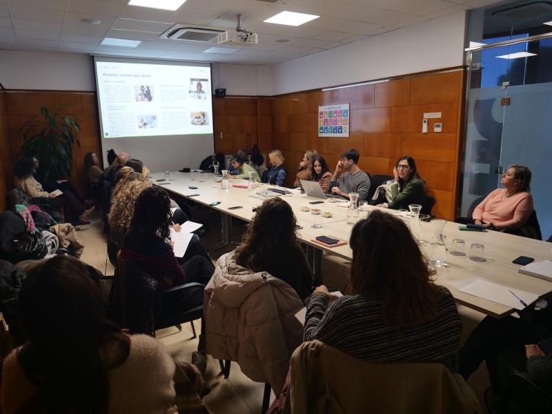 Comissió de Voluntariat