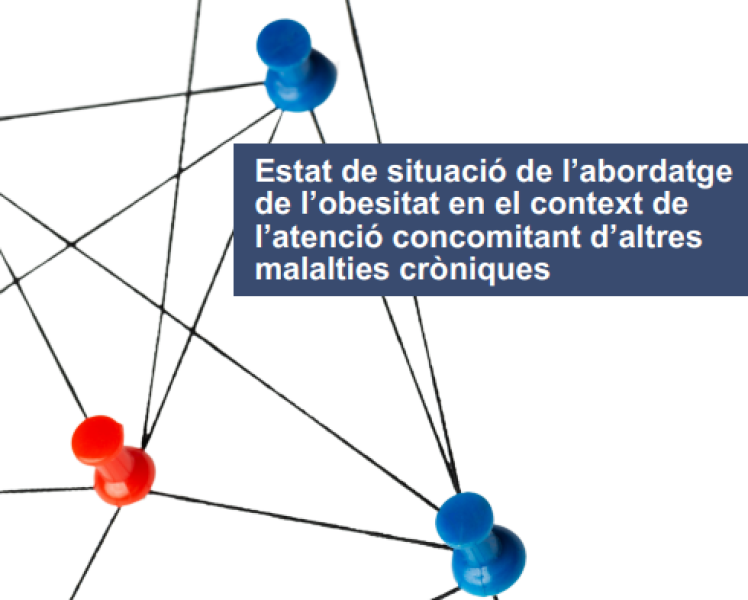 informe-obesitat-1718024725.PNG
