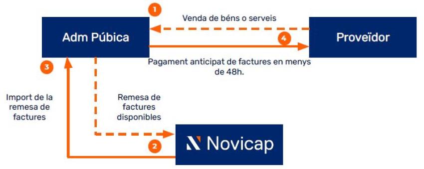 novicap1-1638368789.JPG