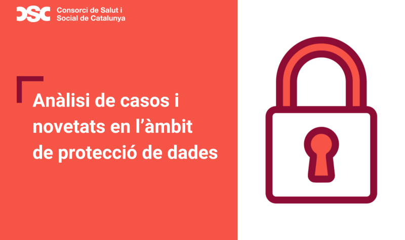 Ànalisi de casos i novetats en l’àmbit de protecció de dades