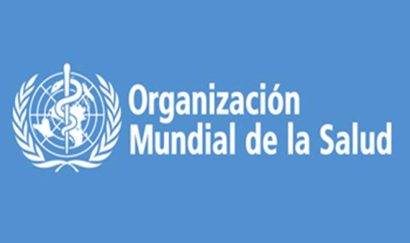 experts-de-l2019oms-analitzen-els-sistemes-de-salut-europeus-al-csc.jpg
