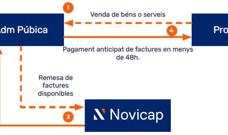 novicap1-1638368789.JPG