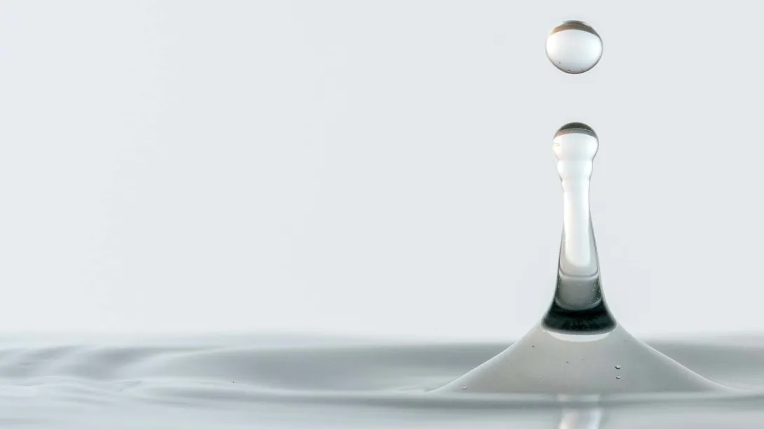 Gota portada